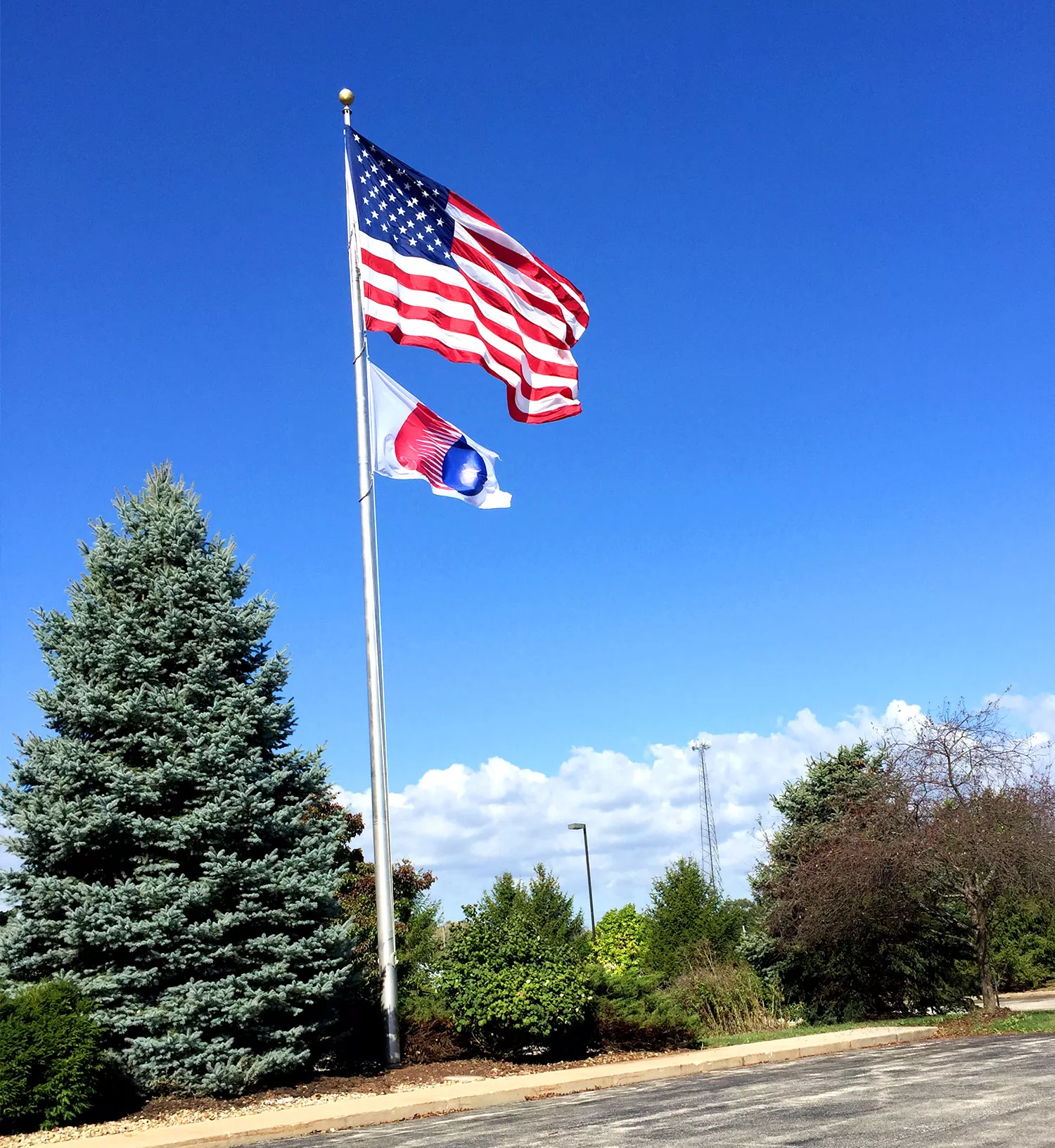 Bulk-Chemical-Supplier-America-Flag.jpg